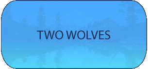 two wolves