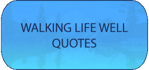 walking life well quotes